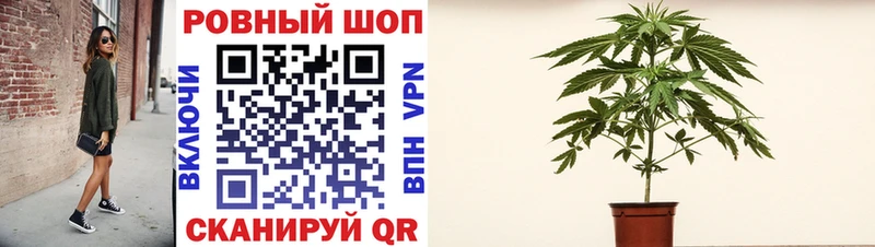 Купить МАРИХУАНА  A-PVP  ГАШ  Метадон  Вейп ТГК  МЕФ  Вельск