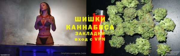 дмт Касимов