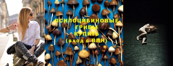 дмт Касимов
