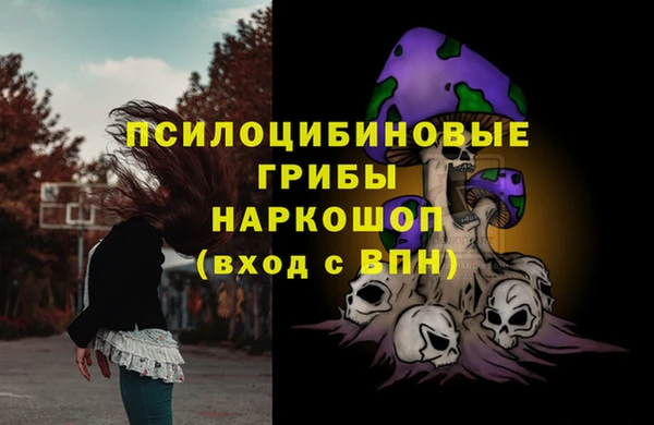 дмт Касимов