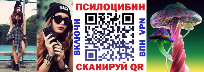 Галлюциногенные грибы Psilocybe  Купить  Вельск 